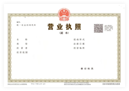 Business License (original & duplicate)